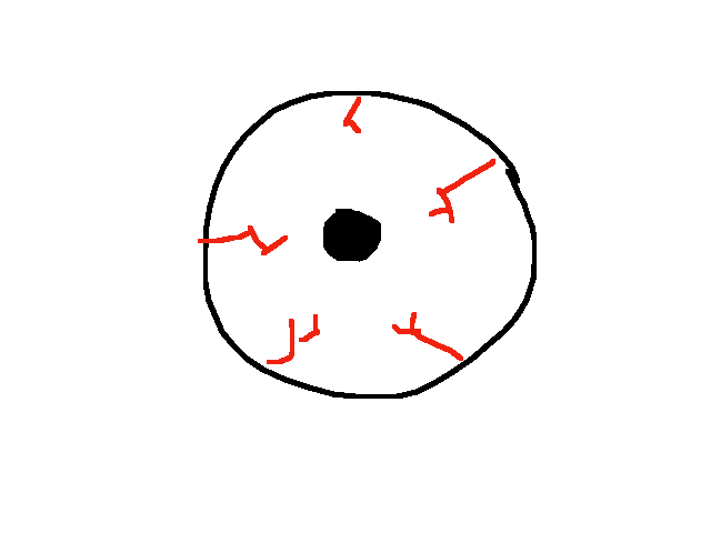 Eye
