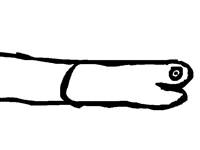 SOCK SKETCH