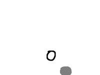 Shadow test