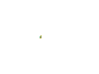 missingNO