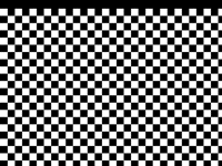 Optical