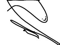 I drew this with my foot2