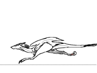 Wildclaw run cycle