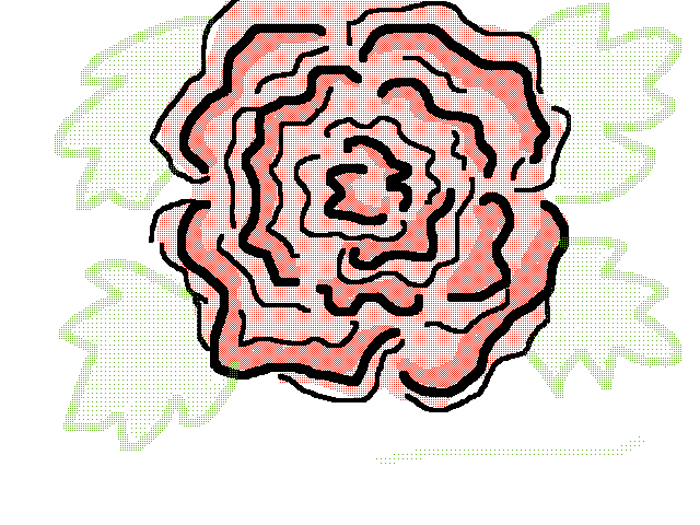Rose (updates coming soon)