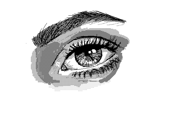 Eye