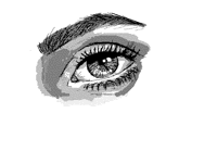 Eye