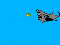 Donut eating shark