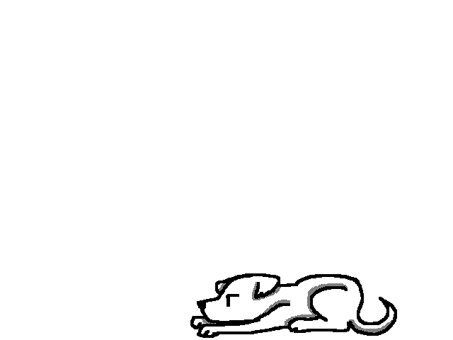 Windy the dog
