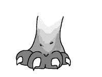 Paw Slam Anim