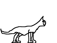 На конкурс кот