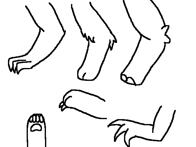 Legs and arms practice