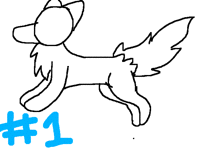 Wolf Walking/running test