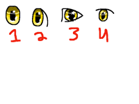Which eye for animals