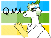 First ever Q N' A