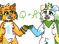 Q and A