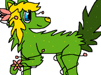 Nature wolf
