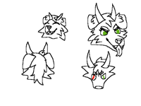 Head practice