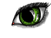 Eye