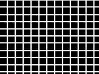 Black Dot Illusion