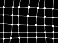 Optical Illusion