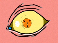 Uchihas eye