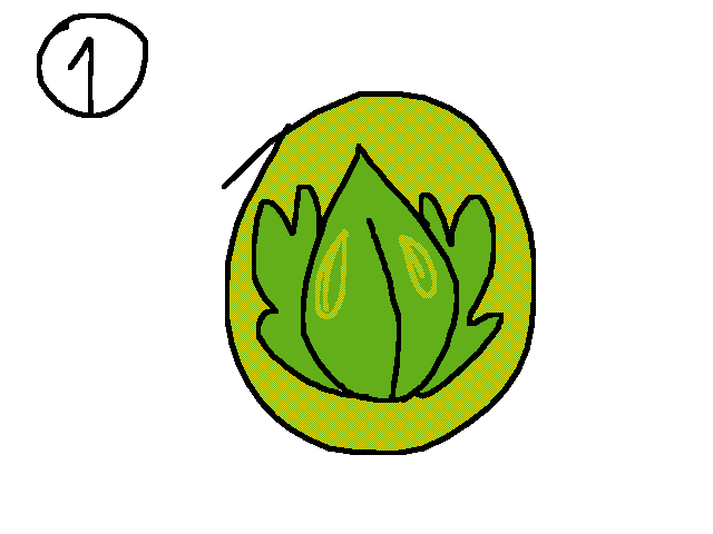 Egg Adoption||CLOSED
