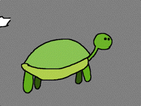 Tortue qui court