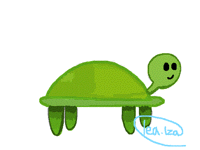 Tortues par millier