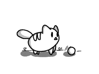 Cat and ball