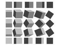 3D Contest