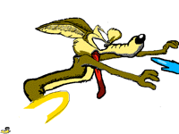 Coyote