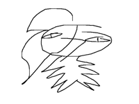 THERES A BIG ASS MOTH IN MY ROOM HELP