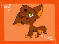 ~Hawk Kit~