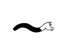 Wiggle wiggle wiggle wiggle