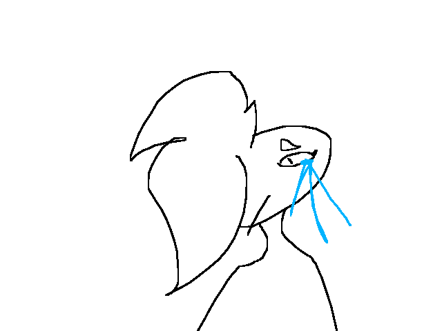 Mordere blocked me, did I do anything wrong?