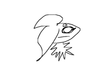 I FELL ASLEEP SHI- IM WOKE I PROMISE