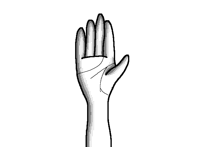 Attempting drawing a hand :/