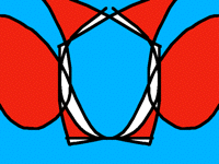 Illusions