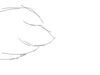 Wing||Testing