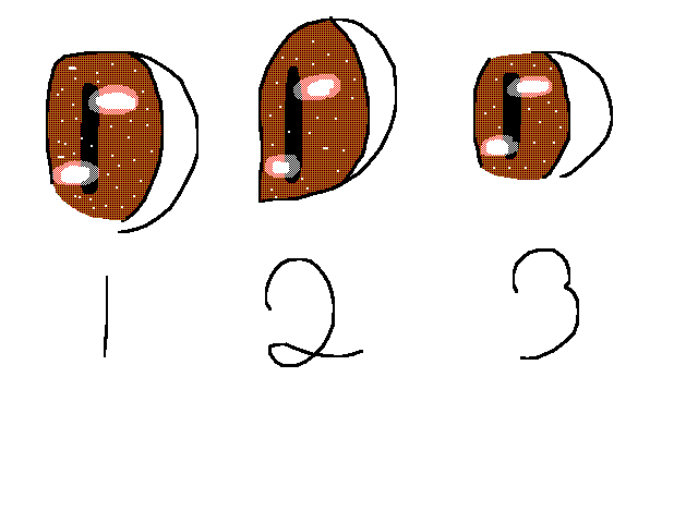 Which eye style do you like the most?