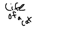 Cat life