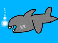 A shark