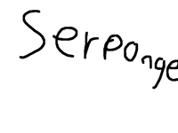 I change my name to...