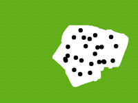 The lucky block