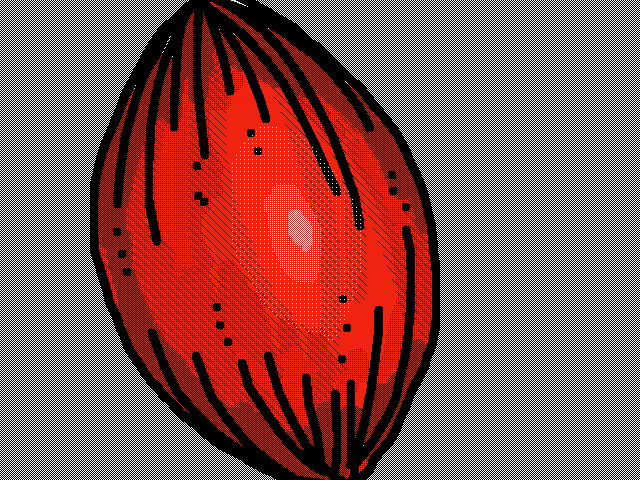 What is this?