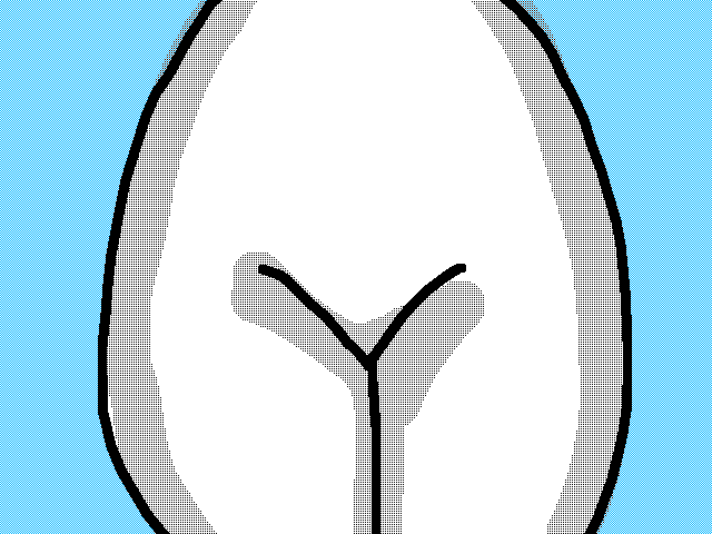 Flax