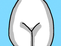 Flax