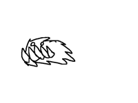 Hop Test