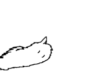 My cat is a hotdog