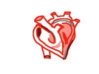 Heartbeat